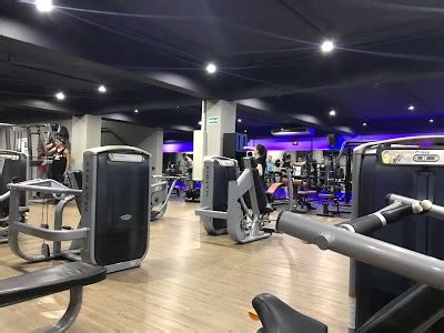 batalha fit academia.